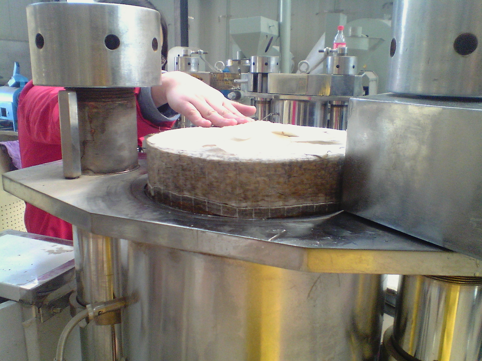 液壓榨油機(jī)壓榨完成后的松籽餅展示