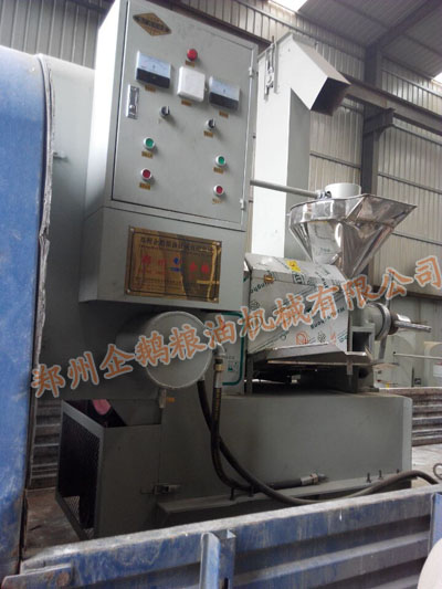 �������Z����ե�͙C�l(f��)؛�F(xi��n)��