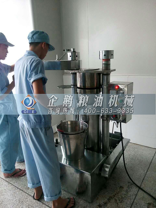 ����ե�͙C